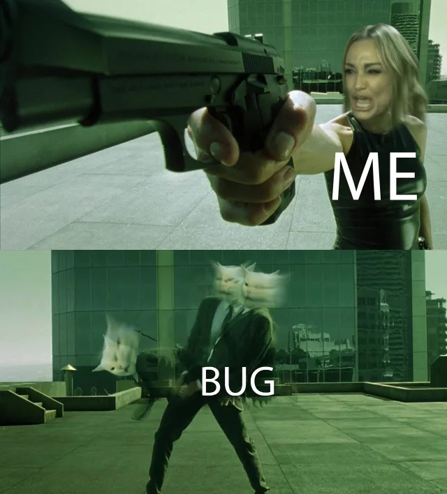 Bug fixing like a pro